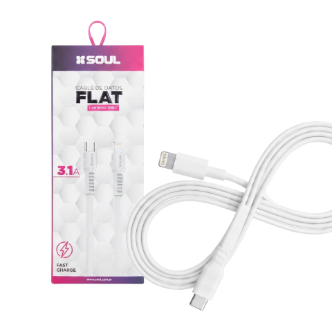 Cable De Datos Flat Soul Tipo C A Lightning 3.1 Carga Rapida Skyporto Caballito
