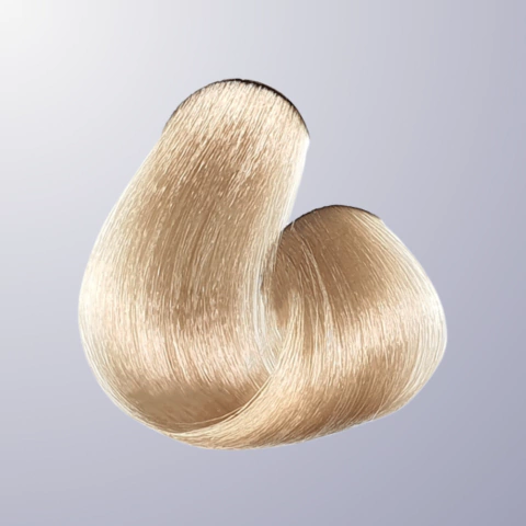 10.1 - Louro Claríssimo Acinzentado - 60g - comprar online