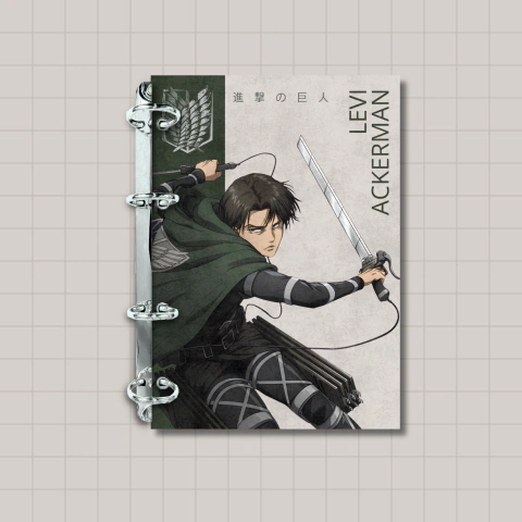 Fichário Levi Ackerman