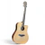 PALMER Pd46ceq-n Guitarra Electroacústica Dreadnought Tapa Abeto Poro Abierto Funda Capotraste Manivela en internet