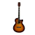 TEXAS Ag15-Lc5-Sb Guitarra Electroacústica Cuerpo Auditorium Tapa Tilo Afinador en internet