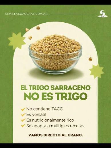 TRIGO SARRACENO X 500 G. SEMILLAS GAUCHAS