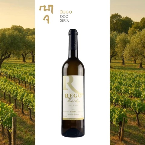 Rego DOC Branco Síria