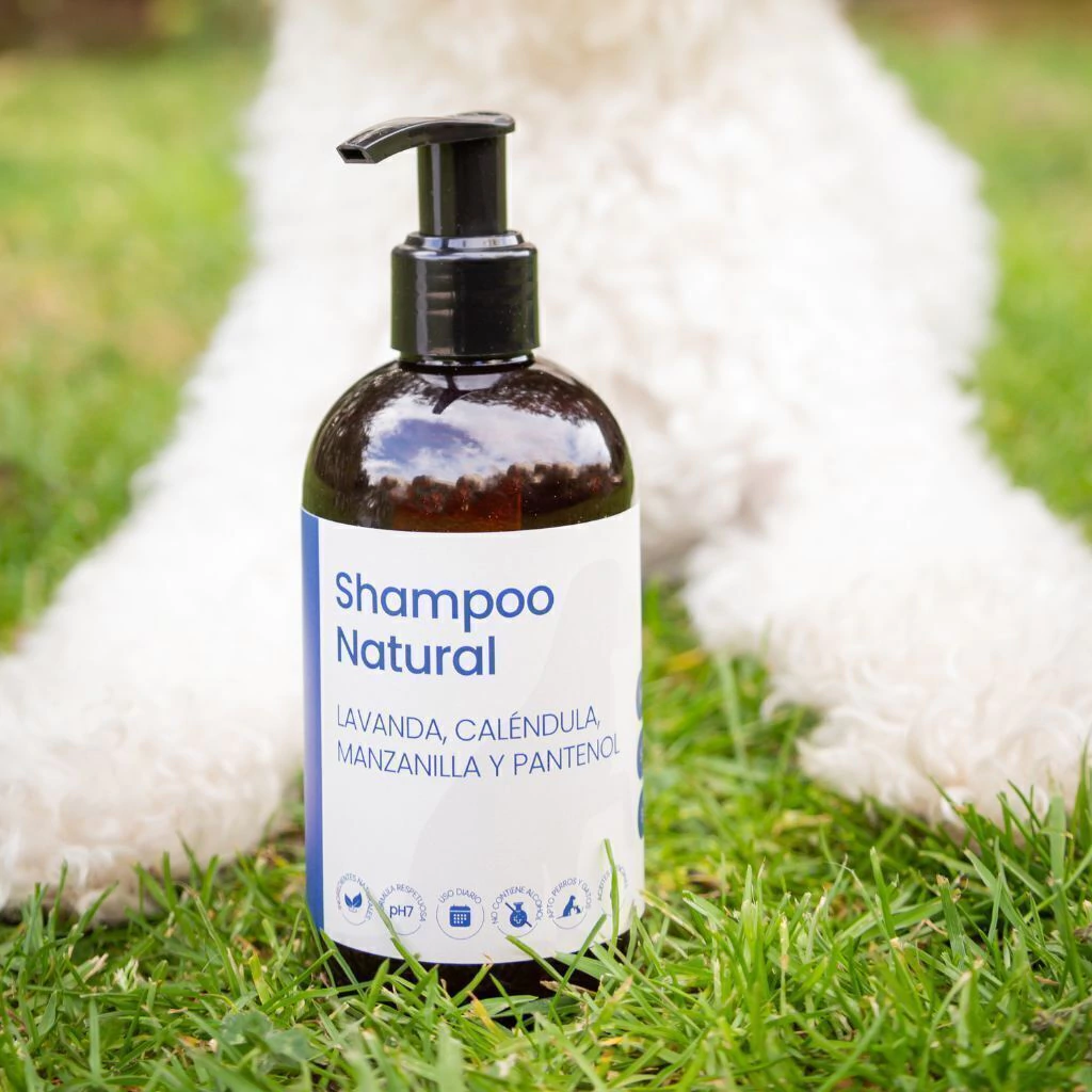 Shampoo Natural