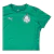 Camisa Palmeiras Treino 25/26 - Torcedor Puma Feminina - Verde na internet