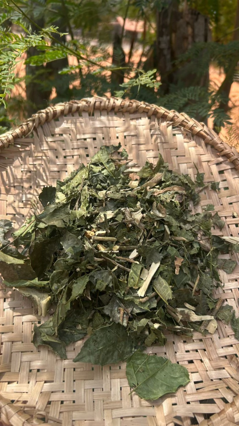 Espinheira Santa 100g PROTETORA DO ESTÔMAGO E DO ORGANISMO