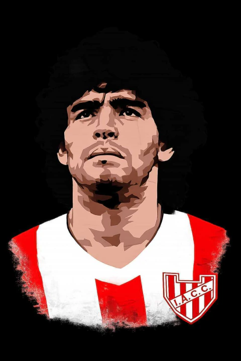 REMERA REGULAR - DIEGO GLORIOSO