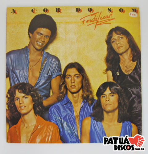 A Cor Do Som - Frutificar - LP