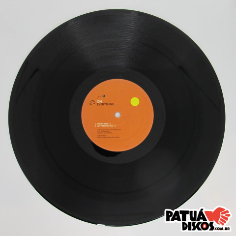 DJ Ion - Everything - 12"