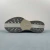 NIKE Pegasus PLUS en internet