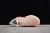 Nike Vomero 18 en internet