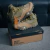 The North Face OFFTRAIL MID GORE-TEX Land - comprar online