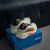 HOKA ONE ONE Clifton PRO - VoraxRunning