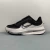 NIKE Pegasus Premium