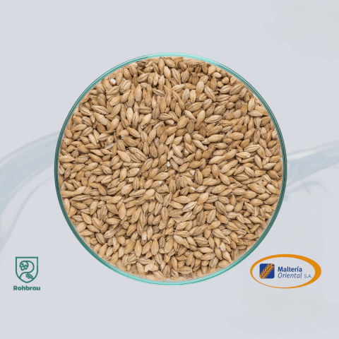 Malte Pilsen MOSA Barley - 100g