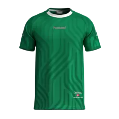 REMERA SUBLIMADA HOMBRE - BARI 11 VERDE - comprar online