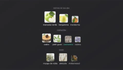 DECANT 5ML - AETHER EXTRAIT - (DUPE: GREENLY PARFUMS MARLY)
