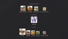 COMBO 4 PERFUMES RECOMENDADOS+ ENVÍO GRATIS (ombre nomade-sauvage elixir-club de nuit-le Male elixir)