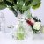 (Pack X50) Pliegos de Papel Celofán Transparente 100x70 cm - Casadelassorpresasshop.cl