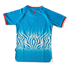 26/27 Congo titular celeste - comprar online