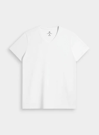 REMERA LUXURY CUELLO V