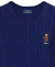 Suéter Polo Bear Ralph Lauren Azul - Lovely Kids Imports