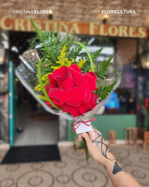 Rosa Colombiana Pra Presente