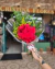 Rosa Colombiana Pra Presente