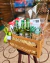 Cestinha Palmeiras com Cervejas