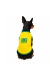 Roupa Pet Brasil para Cães na internet