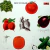 Cream - Best Of Cream - comprar online