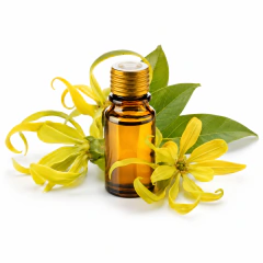 ALQUORA - Ylang Ylang 10ml