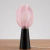 Módulo9 M-250 Rosa - Astrelia