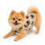 Roupa Pet Fleece Estampada para Cães e Gatos - marrom com patinha