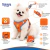 Kit Coleira Para Peitoral Cães e Gatos - comprar online