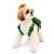Coleira Pet com mochila de Sapinho - Tutoys Pets