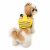 Coleira Pet com mochila de Abelhinha - loja online