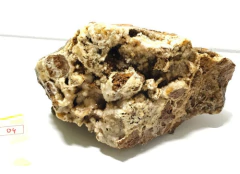 Rocha Honeycomb Stone #04- Aquapaisagismo- Fotos Reais - comprar online