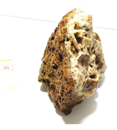Rocha Honeycomb Stone #04- Aquapaisagismo- Fotos Reais - WaterMello Aquarismo Plantado