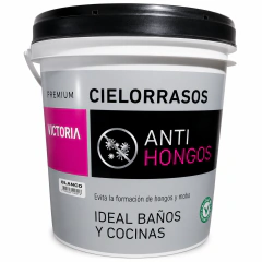 Pintura Cielorrasos Victoria X 20 Litros
