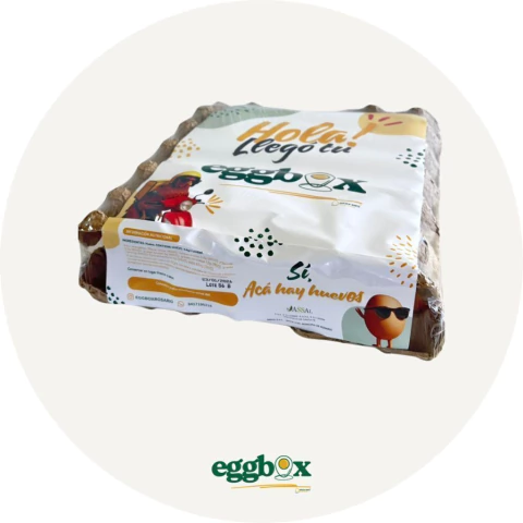 Huevos Extragrandes Color - comprar online