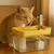 Bebedouro Fonte Automático para pets na internet