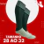 Meião Futebol Profissional - Verde - Modelo Infantil - 28 ao 32 - Meias Bidu