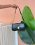 BOLSA ELIS - SNOB