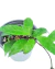 Hoya Carnosa - comprar en línea
