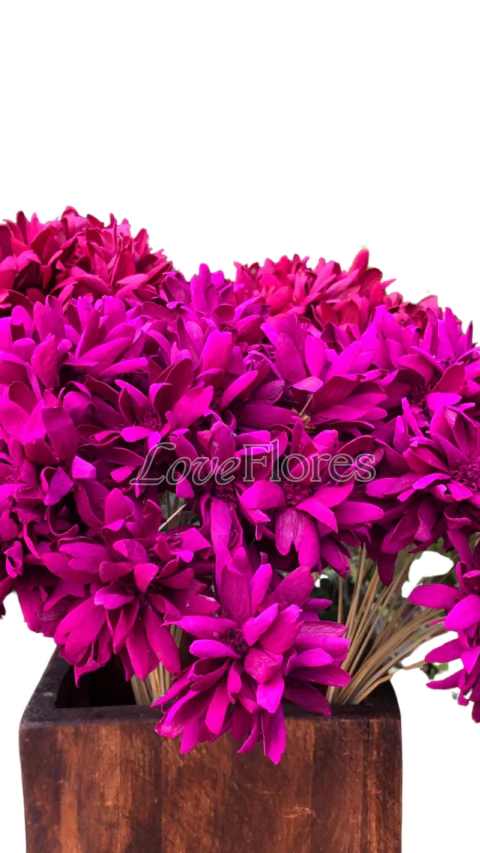 Congéia Natural Desidratada - comprar online