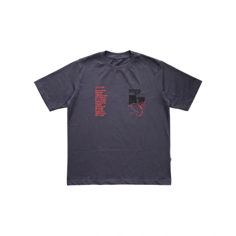 CAMISETA REGULAR RUA ZN GRAFITE
