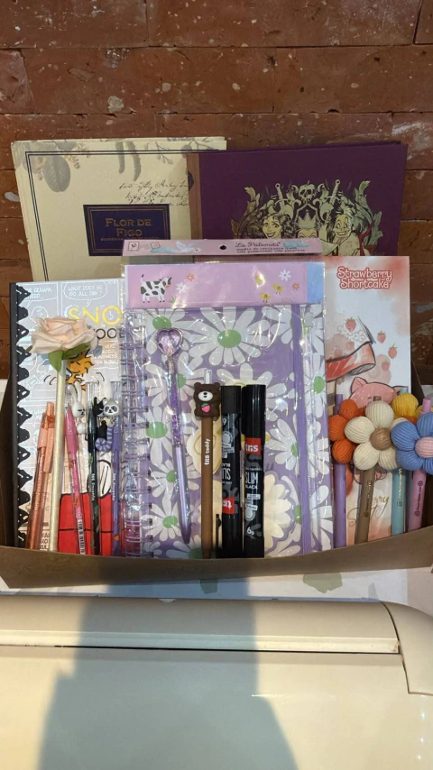 KIT PAPELARIA SIMONE: CADERNOS + CANETAS