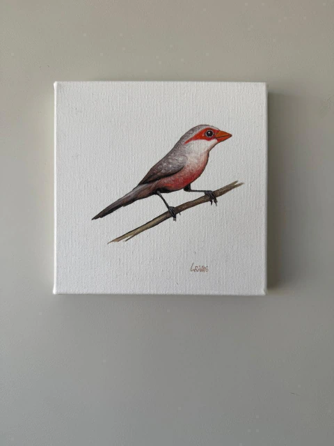 Pintura Passarinho Cinza e Vermelho em Óleo sobre Tela