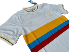 Colombia conmemorativa 100 años en internet